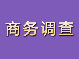 渭城商务调查